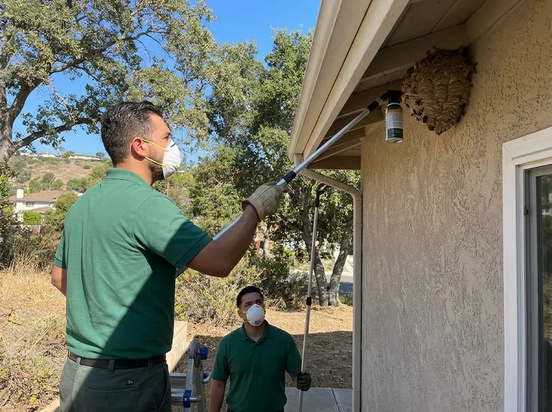 Paper Wasp & Yellowjacket Nest Removal in Diamond Bar, CA